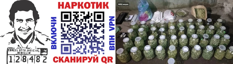 Как найти наркотики Северск Cocaine A PVP Гашиш Мефедрон