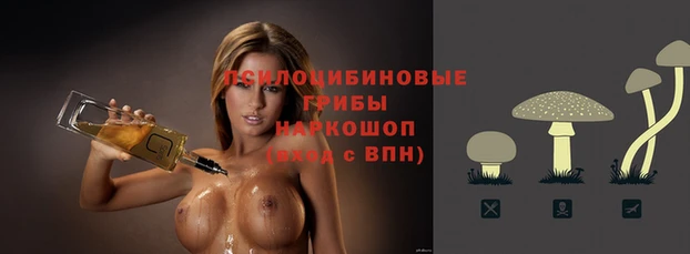синтетический гашиш Богданович