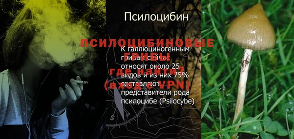 прущие крисы Нягань