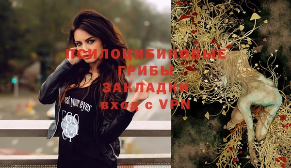 синтетический гашиш Богданович