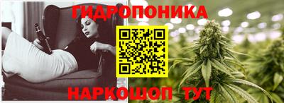 mix Сланцы