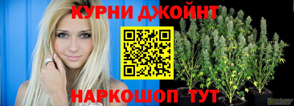 Бошки Шишки ГИДРОПОН  МАРИХУАНА ГИДРОПОН  Шишки марихуана планчик  Вход с VPN  Северск 